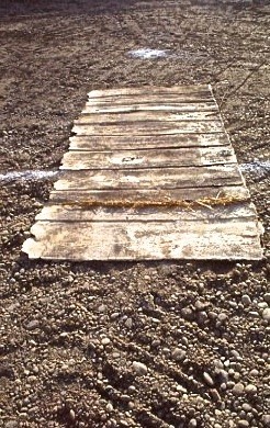 Maria Dundakova  Landscape Memory „At home“  project  Ritual: "Touching the landscape".          Performence, „In the site“ Photography 